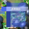 蓝莓-万德兰生态园
