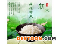 申源荷花香米5公斤家庭共享装图2